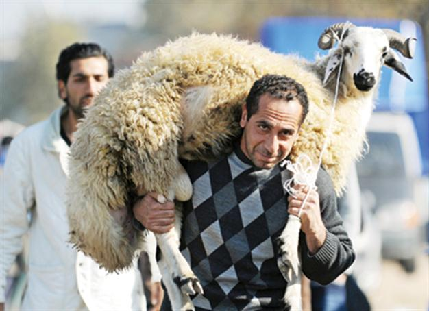 Many hunters hunted in the Feast of Sacrifice in Turkey