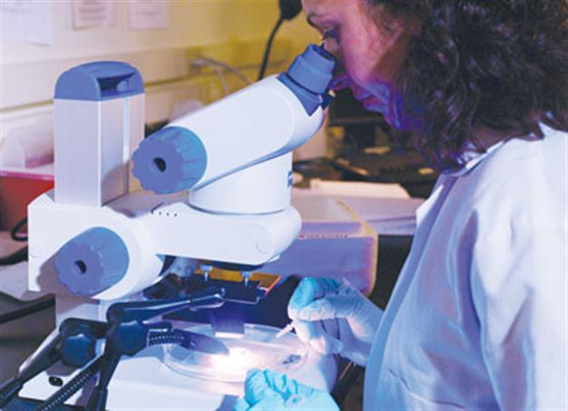 Malaria may be cured with new vaccines
