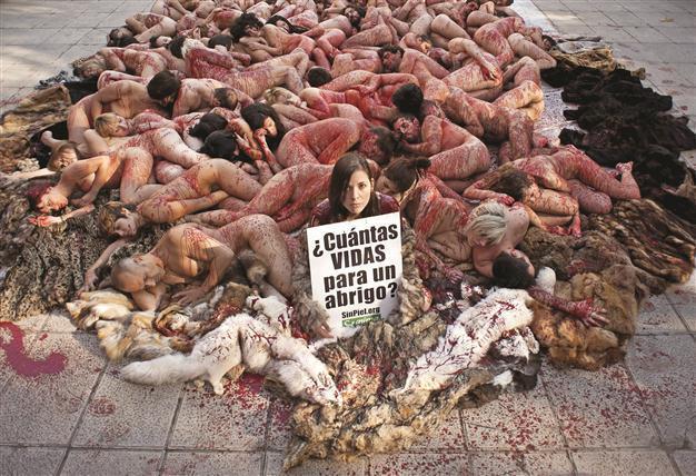 Animal rights activists stage naked protest