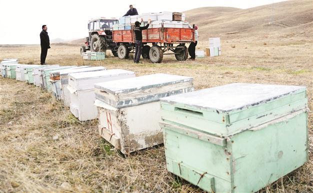 Quake-hit businesses on the eve of going belly up