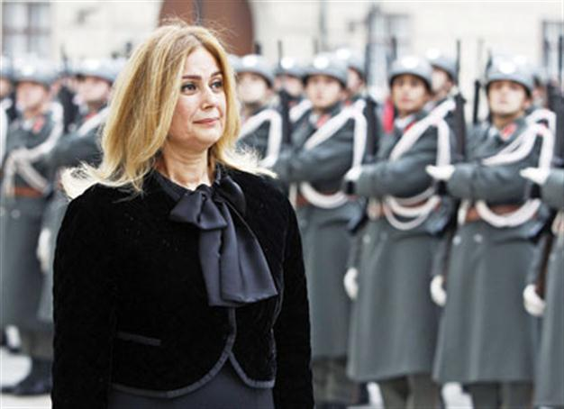 New envoy goes to Vienna