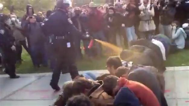 Passive Occupy protesters take pepper spray blast