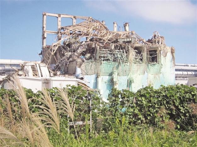 Japan mulls bailing out Fukushima plant operator