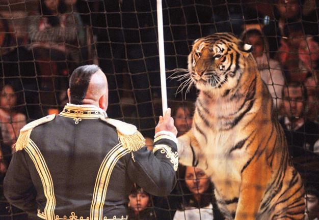 Paris Circus waiting children during school year holiday