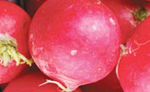 Workshop on culinary arts