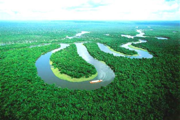 Amazon Basin turns into carbon emitter