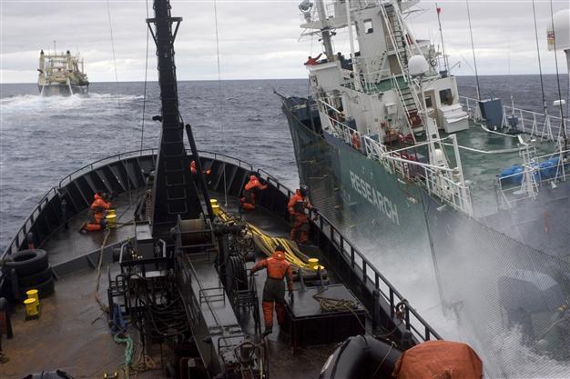 Shipping industry fears China slowdown, overcapacity