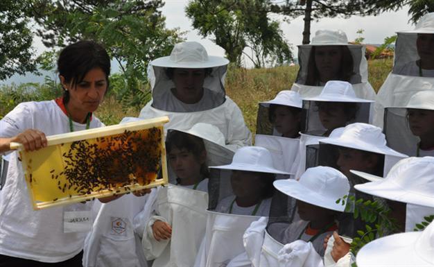 Turkey’s Changemakers: ‘Bee-like’ Entrepreneurs are On Their Way