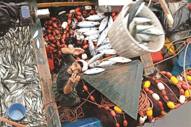 Restructuring Morocco sees hard economic times