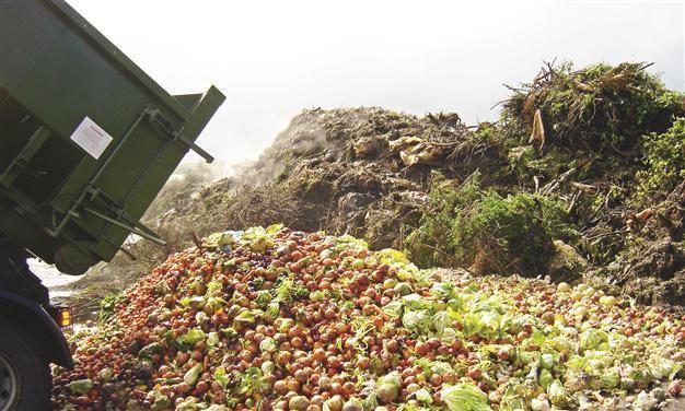Collaborating against tons of waste in food industry