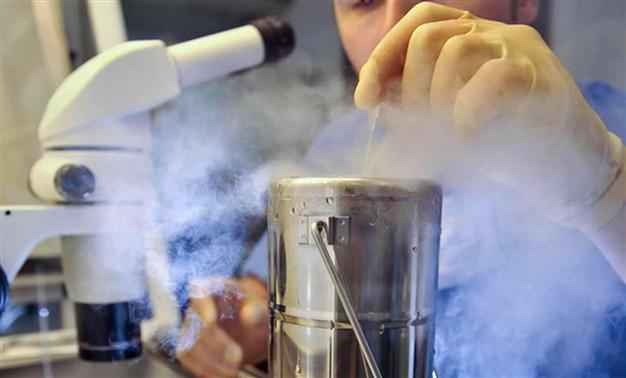 French firm blamed for Italy frozen embryo accident