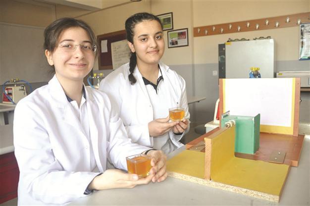 Student project on honey wins award