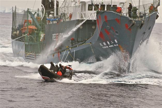 Activists attack ship of whalers