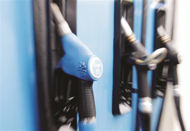 Germany probes large oil firms
