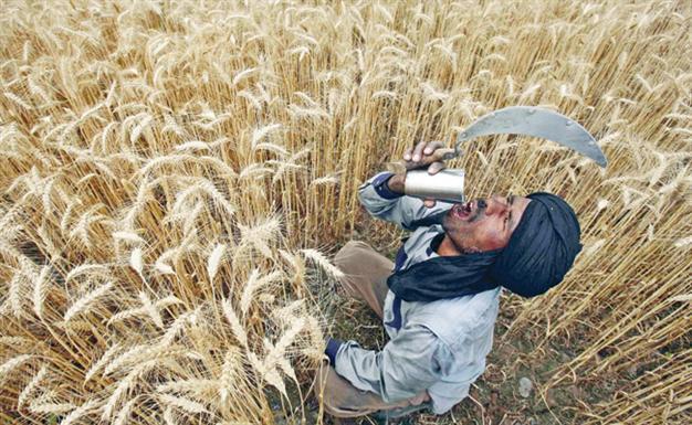 S&P downgrades India’s credit outlook to negative