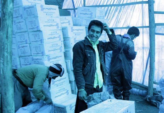 Alcohol consumption in Tehran worrying, official says