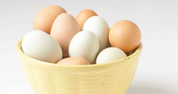 Cardiology professor writes controversial diet