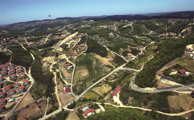 Government excludes gains from sales of deforested land