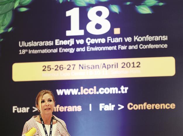 Minister demands interest in gas grids