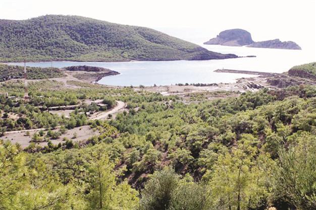 Draft law eases land fill on local coast lines