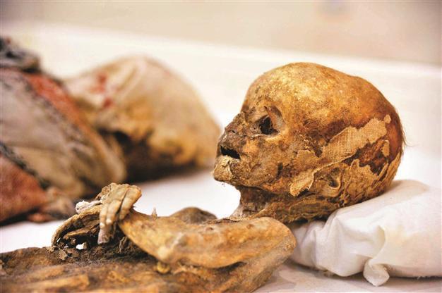 Cat, children mummies draw interest to museum