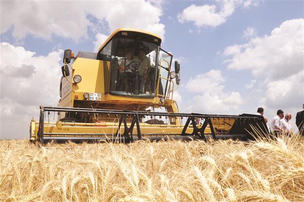 Turkish government unveils high grain price