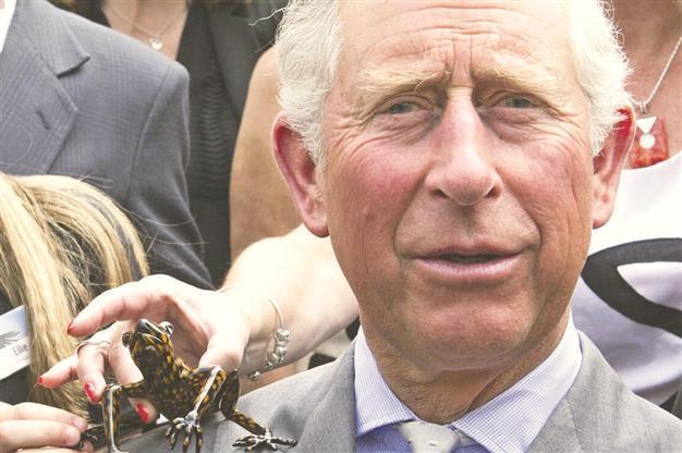 Frog named after Prince of Wales