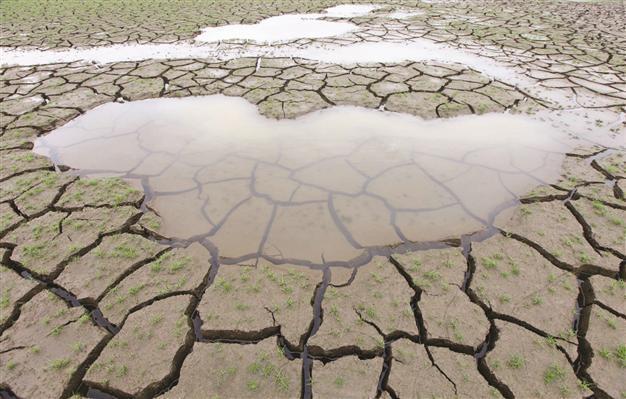 US encounters worst drought in 25 years