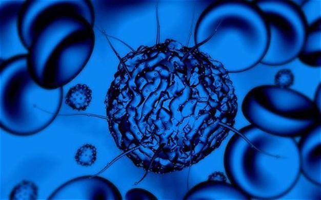 Embryo test for breast cancer is feasible: study