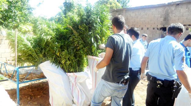 PKK using ‘Colombian’ method in protecting drug fields