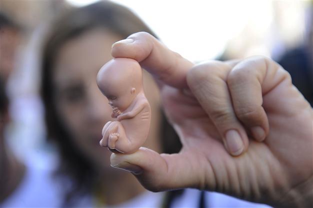248 human fetuses found in Russian forest