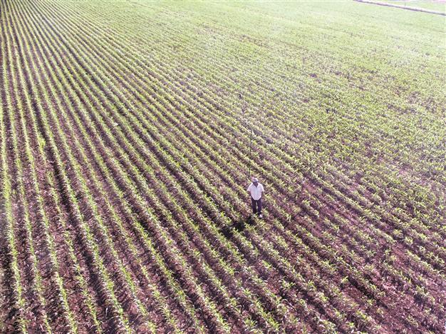 Phosphate giant joins forces with local firm