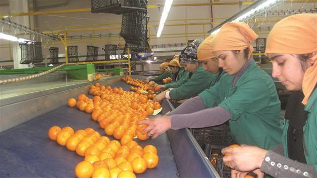 Draft eases leasing workers under flexible conditions