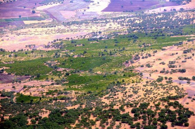 Drug bust in SE Turkey raises suspicions of PKK links