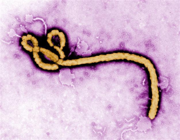 Uganda warns on contact as deadly Ebola reported in capital