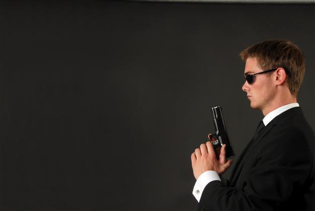 Suspected Syrian spy wanted to work for German intel