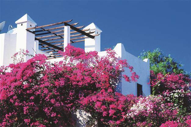 Rents almost double at coast towns in Aegean region