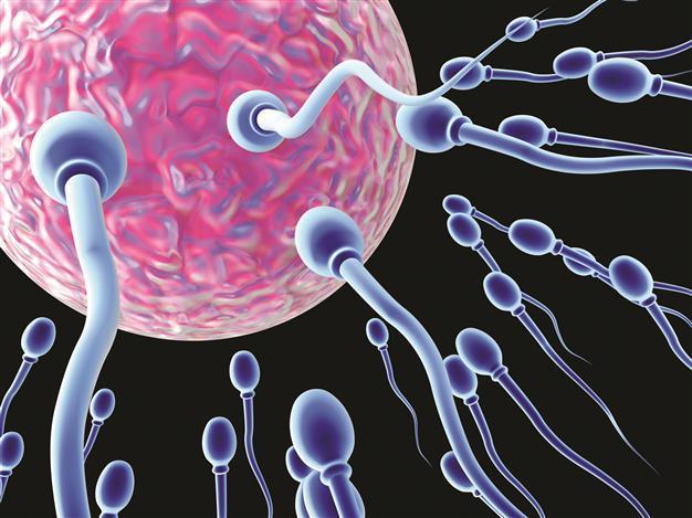Male birth control in a pill is possible
