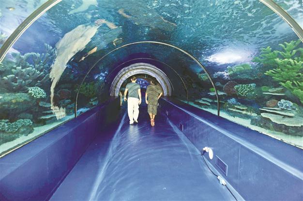 Sail the seven seas at Antalya Aquarium