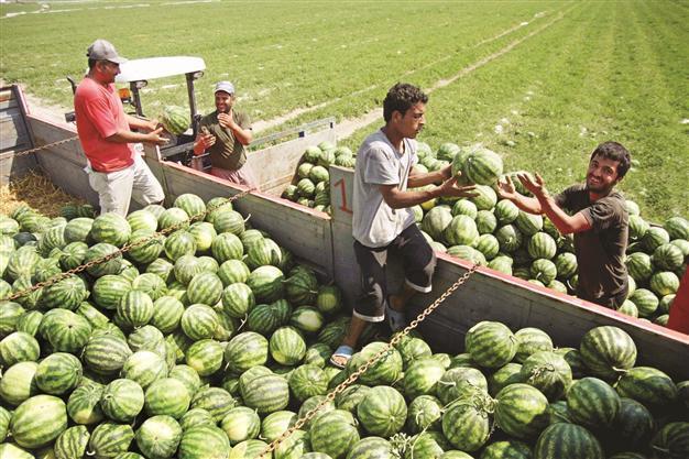 Joblessness rate drops to record lowest point