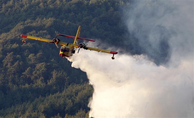 Forest fire burns through southern province