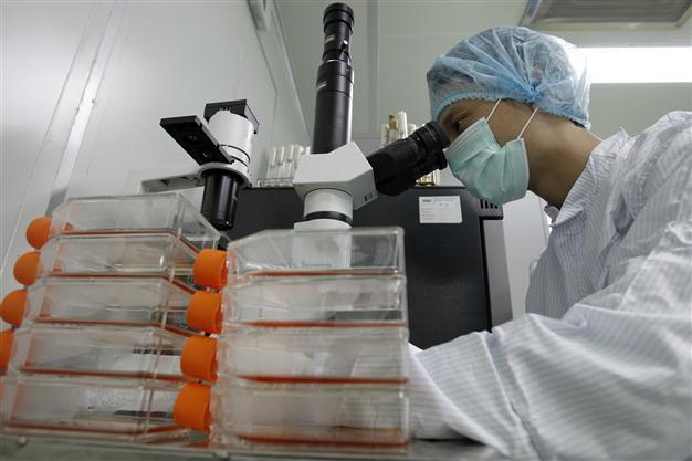 Brazil claims successful test of parasite vaccine