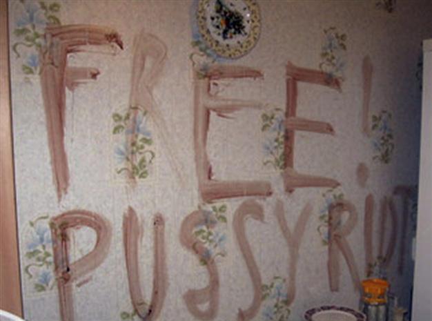 Arrested Russian killer denies ties to Pussy Riot
