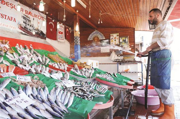 Boycott ends, fish prices drop