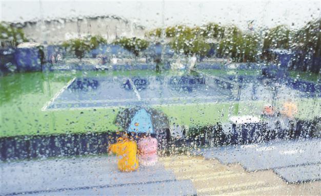 Azarenka, Ferrer advance at rain hit US Open