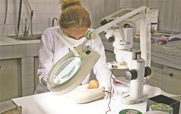 Excavations revealing centuries-old designs