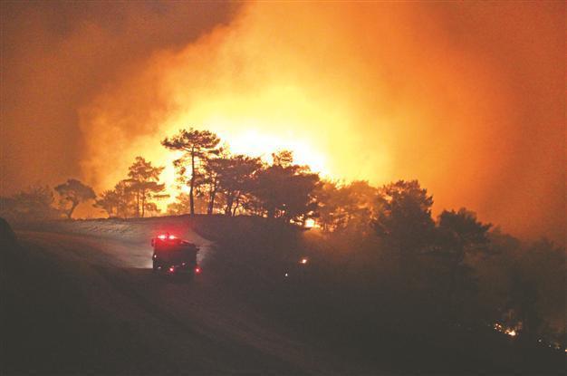 Fire destroys 500 hectares of forest