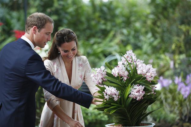 Prince William says he wants 2 children with Kate