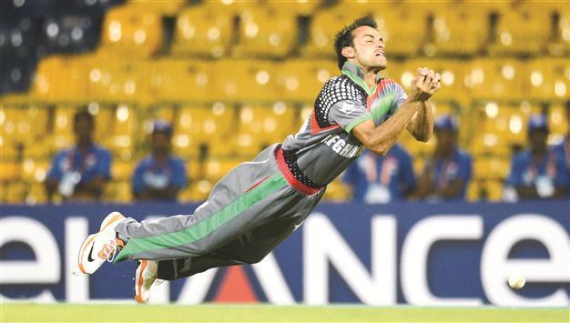 Gutsy Afghans light up Twenty20 Cup