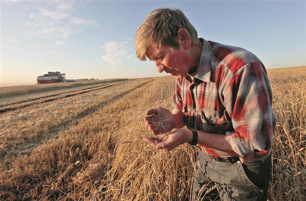 Droughts sap Germans’ food commodity appetite